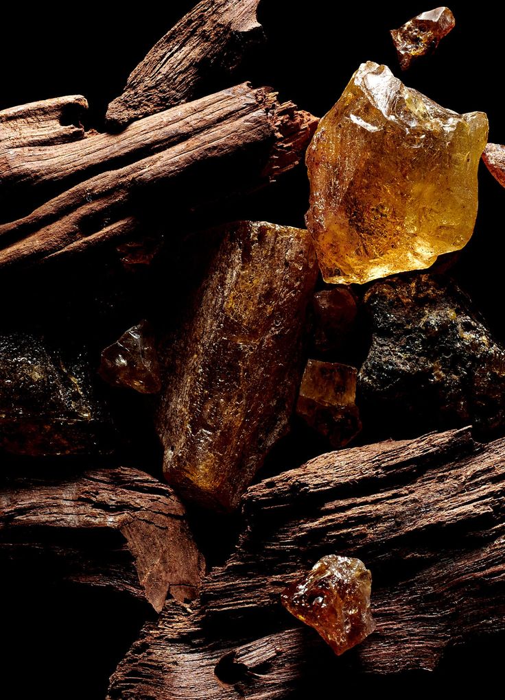 Morning Wood Body Oil